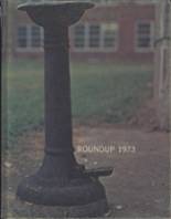 Southwest High School 1973 yearbook cover photo