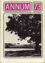 Ellington High School 1973 yearbook cover photo