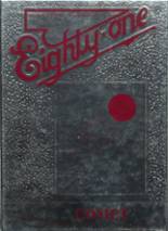 1981 Clark High School Yearbook from Clark, South Dakota cover image