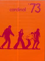1973 Lewiston High School Yearbook from Lewiston, Minnesota cover image