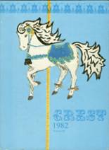 Eisenhower High School  1982 yearbook cover photo
