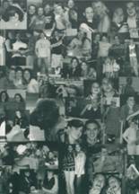 2002 Shenandoah High School Yearbook from Sarahsville, Ohio cover image