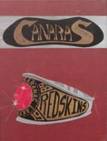 Saranac Lake Central High School 1985 yearbook cover photo
