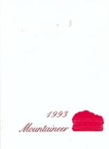 Albertville High School 1993 yearbook cover photo