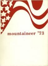 Mt. Iron-Buhl High School 1973 yearbook cover photo