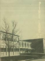 Pine Island High School 1957 yearbook cover photo