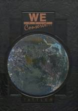 Conneaut High School 1995 yearbook cover photo