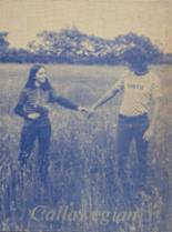 1973 South Callaway High School Yearbook from Mokane, Missouri cover image