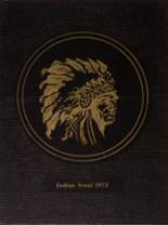 Osceola High School 1973 yearbook cover photo