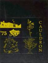 Auburn High School 1975 yearbook cover photo