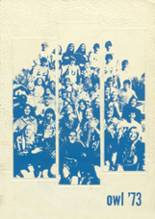 Bonham Junior High School 1973 yearbook cover photo