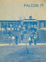 Rochester High School 1977 yearbook cover photo