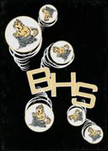 Beaver High School 1996 yearbook cover photo