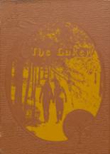 1977 Round Lake High School Yearbook from Round lake, Illinois cover image