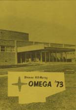 Hill High School 1973 yearbook cover photo