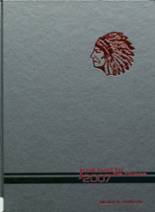 2007 Pittsfield High School Yearbook from Pittsfield, Illinois cover image