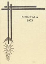 Montevallo High School 1973 yearbook cover photo