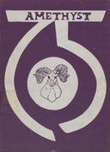 Deering High School 1975 yearbook cover photo