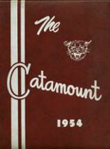 Dalton High School 1954 yearbook cover photo