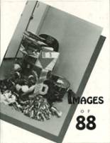 Delano High School 1988 yearbook cover photo