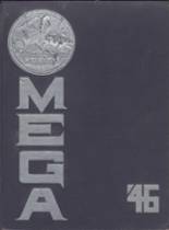 Ann Arbor High School 1946 yearbook cover photo