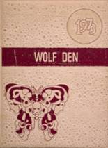 1973 Dilley High School Yearbook from Dilley, Texas cover image