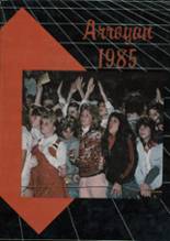 Arroyo High School 1985 yearbook cover photo