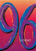 1996 White Sulphur Springs High School Yearbook from White sulphur springs, Montana cover image