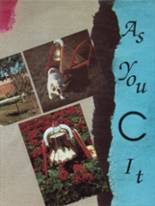 Centennial High School 1993 yearbook cover photo