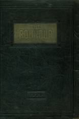 1929 Rawlins High School Yearbook from Rawlins, Wyoming cover image