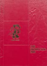 1969 Shullsburg High School Yearbook from Shullsburg, Wisconsin cover image