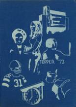 1973 Hillwood High School Yearbook from Nashville, Tennessee cover image
