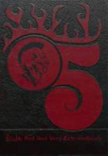 2005 Brownstown High School Yearbook from Brownstown, Indiana cover image