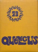 Live Oak High School 1973 yearbook cover photo