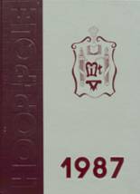 1987 Mt. Vernon High School Yearbook from Mt. vernon, Indiana cover image