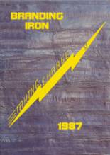 Mason High School 1987 yearbook cover photo