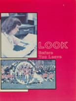 Cassadaga Valley High School 1982 yearbook cover photo