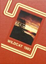 Willow River High School 1982 yearbook cover photo