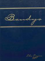 1996 Bandys High School Yearbook from Catawba, North Carolina cover image