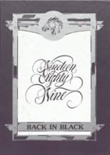 1989 Stanton High School Yearbook from Stanton, Nebraska cover image