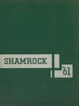 Dublin High School 1961 yearbook cover photo