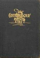 1917 Waxahachie High School Yearbook from Waxahachie, Texas cover image