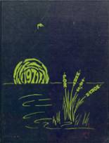 1971 Hudson High School Yearbook from Hudson, Michigan cover image