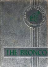 Holly Pond High School 1967 yearbook cover photo
