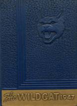 1947 Sweetwater High School Yearbook from Sweetwater, Tennessee cover image
