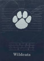 1996 West Lyon High School Yearbook from Inwood, Iowa cover image