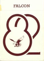 1982 Danube High School Yearbook from Danube, Minnesota cover image