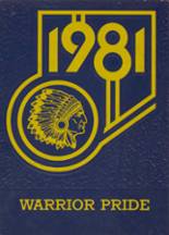 Rochester High School 1981 yearbook cover photo