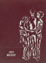 Henry County High School 1972 yearbook cover photo