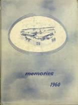 Townville High School 1960 yearbook cover photo